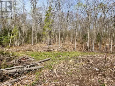 790 Mitchell Road Madawaska Valley ON K0J 1B0