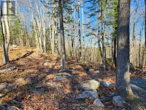 790 Mitchell Road Madawaska Valley ON K0J 1B0