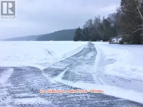 790 Mitchell Road Madawaska Valley ON K0J 1B0