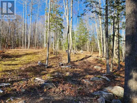 790 Mitchell Road Madawaska Valley ON K0J 1B0
