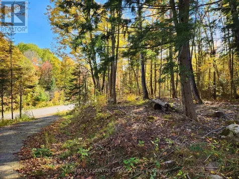 790 Mitchell Road Madawaska Valley ON K0J 1B0