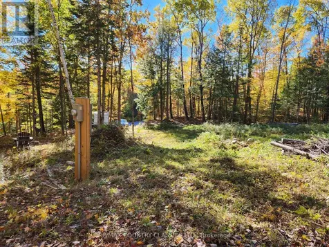 790 Mitchell Road Madawaska Valley ON K0J 1B0