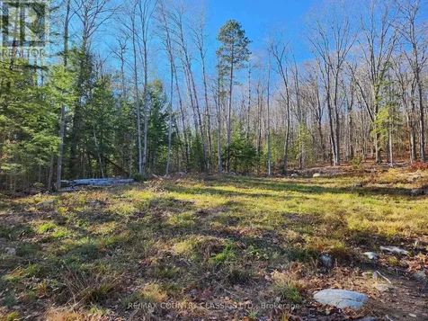790 Mitchell Road Madawaska Valley ON K0J 1B0