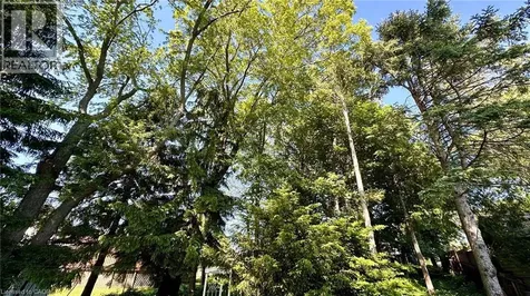 63 Lee Avenue Simcoe ON N3Y 5B7