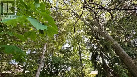 63 Lee Avenue Simcoe ON N3Y 5B7