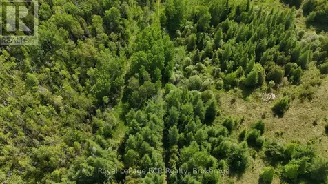 113543 Grey Road 14 Road North Grey Highlands ON N0G 1K0