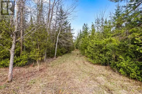 312513 Highway 6 Southgate ON N0G 1R0