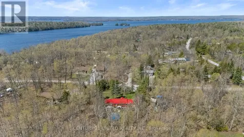 11 Birch Terrace Trent Lakes ON K0L 1J0