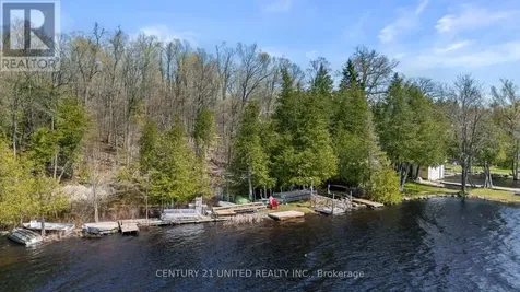 11 Birch Terrace Trent Lakes ON K0L 1J0