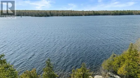 11 Birch Terrace Trent Lakes ON K0L 1J0
