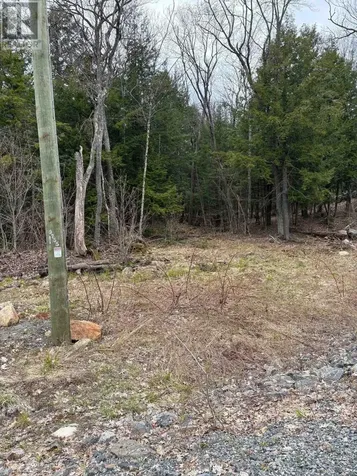 4 Wee Gee Wa Road Seguin ON P2A 0E8