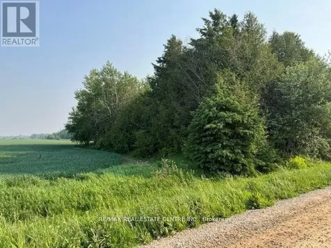 034541 Sideroad 21-22 East Luther Grand Valley ON L9W 0H2
