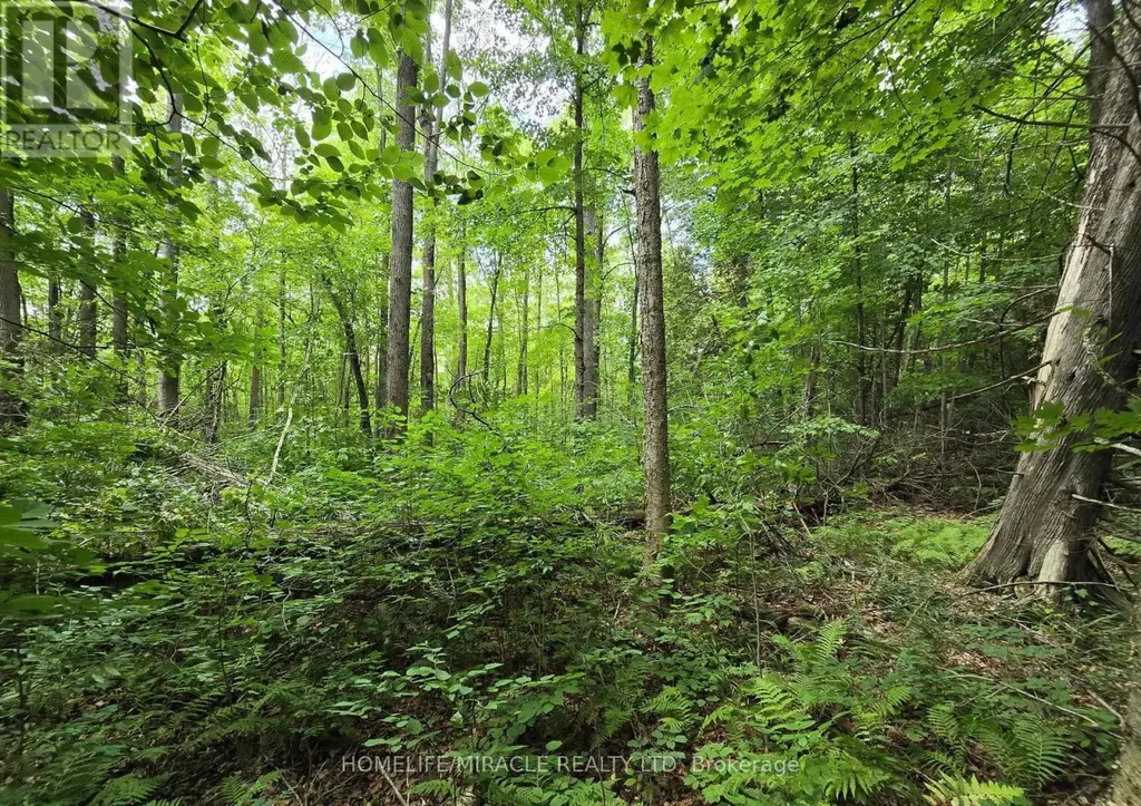 000 Cedar Sands Road Rideau Lakes ON K0E 1N0