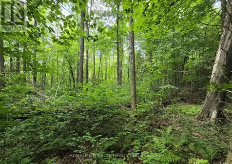 000 Cedar Sands Road Rideau Lakes ON K0E 1N0