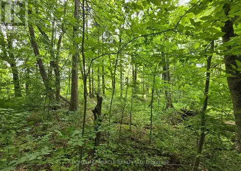 000 Cedar Sands Road Rideau Lakes ON K0E 1N0