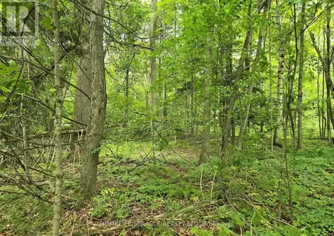 000 Cedar Sands Road Rideau Lakes ON K0E 1N0