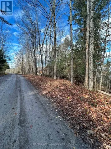 00 Mill Lake Road North Kawartha ON K0L 1A0