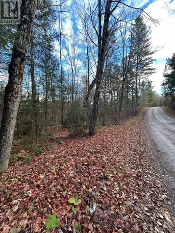 00 Mill Lake Road North Kawartha ON K0L 1A0