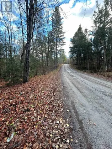 00 Mill Lake Road North Kawartha ON K0L 1A0