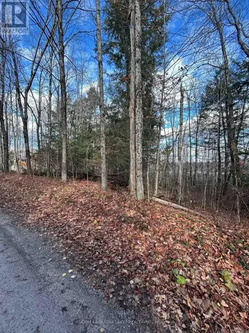 00 Mill Lake Road North Kawartha ON K0L 1A0