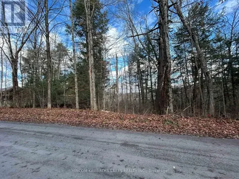 0 Mill Lake Road North Kawartha ON K0L 1A0