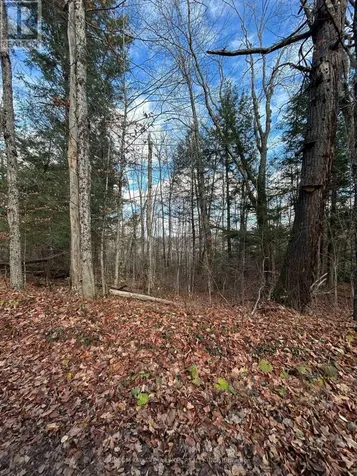 0 Mill Lake Road North Kawartha ON K0L 1A0