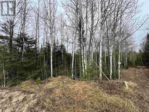 332 Highway 129 Chapleau ON P0M 1K0
