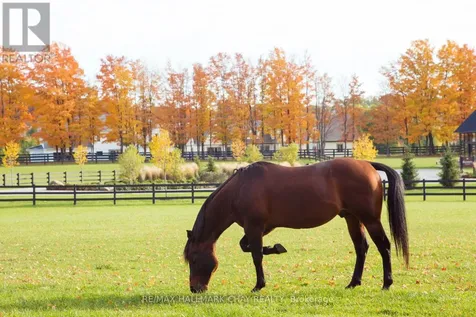 41 Thoroughbred Drive Oro-medonte ON L0K 1E0