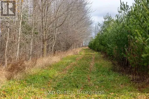 83 C Line Road South Bruce Peninsula ON N0H 1A0