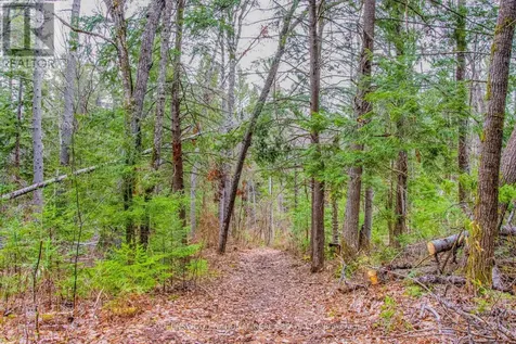 00 Lower Craigmont Road Madawaska Valley ON K0J 1L0