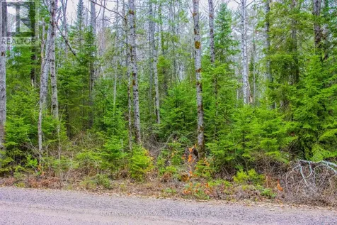 0 Lower Craigmont Road Madawaska Valley ON K0J 1L0