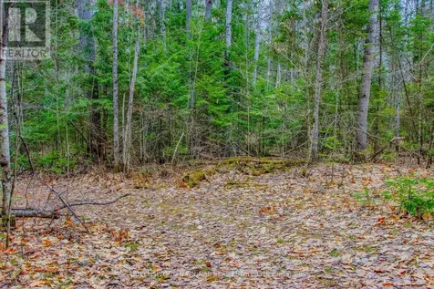 0 Lower Craigmont Road Madawaska Valley ON K0J 1L0