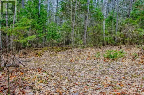0 Lower Craigmont Road Madawaska Valley ON K0J 1L0