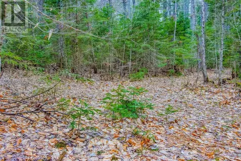 0 Lower Craigmont Road Madawaska Valley ON K0J 1L0