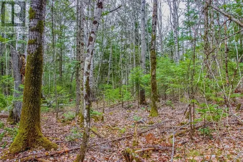 000 Lower Craigmont Road Madawaska Valley ON K0J 1L0