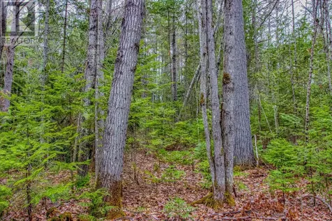 000 Lower Craigmont Road Madawaska Valley ON K0J 1L0
