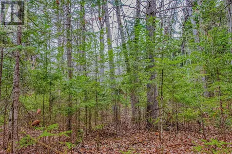000 Lower Craigmont Road Madawaska Valley ON K0J 1L0