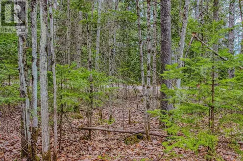 000 Lower Craigmont Road Madawaska Valley ON K0J 1L0