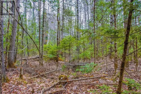 000 Lower Craigmont Road Madawaska Valley ON K0J 1L0
