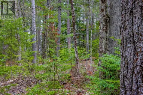 000 Lower Craigmont Road Madawaska Valley ON K0J 1L0