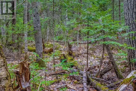 000 Lower Craigmont Road Madawaska Valley ON K0J 1L0