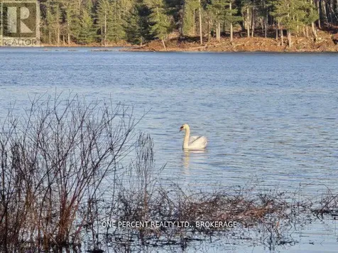 368 Troy Lake Road Rideau Lakes ON K0G 1E0