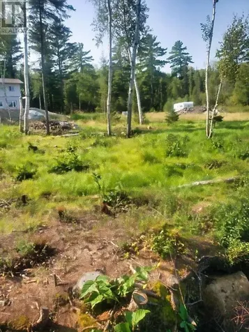 6 Bergman Road|eva Lake Atikokan ON P0T 1C0