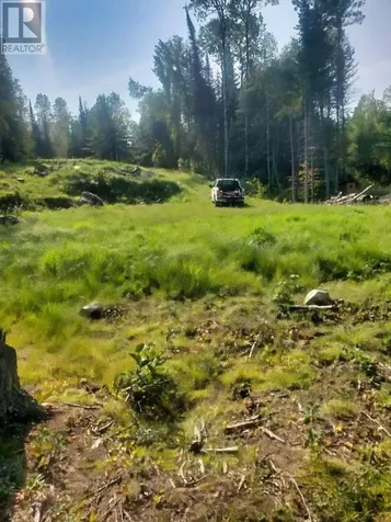 6 Bergman Road|eva Lake Atikokan ON P0T 1C0