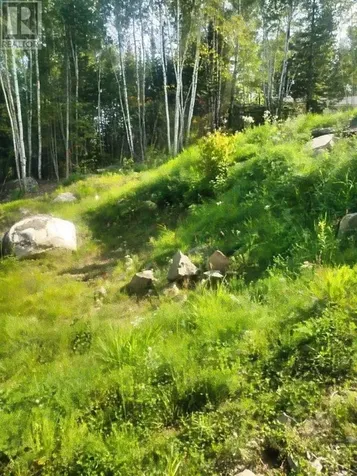 6 Bergman Road|eva Lake Atikokan ON P0T 1C0