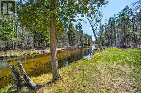 2406 Northeys Bay Road North Kawartha ON K0L 2H0