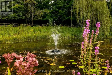 875 Corktown Road Merrickville-wolford ON K0G 1N0