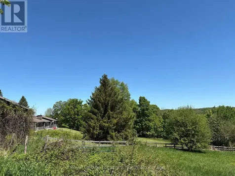 446070 Johnston's Sideroad Grey Highlands ON N0C 1E0