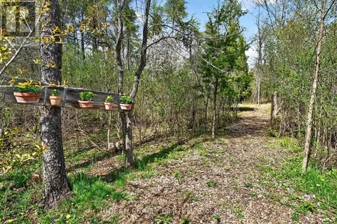 44 Blanchards Hill Road Rideau Lakes ON K0G 1L0