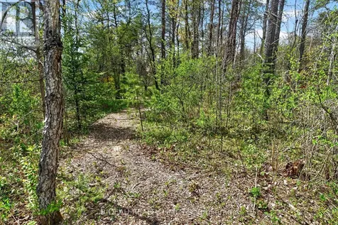 44 Blanchards Hill Road Rideau Lakes ON K0G 1L0